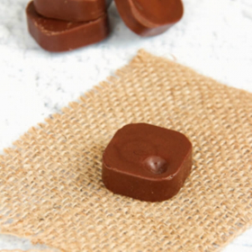 Bombón de chocolate proteico SG