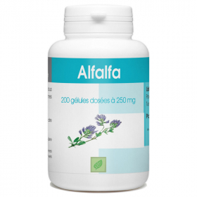 Alfalfa 200 capsule dosate a 250 mg