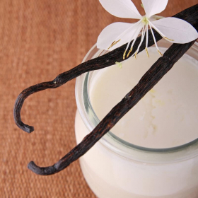 Yogurt Iperproteico alla Vaniglia SG - Yaourt Hyperprotéiné Saveur vanille