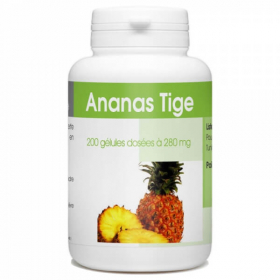 Ananas 280mg  DLUO 30/04/2024